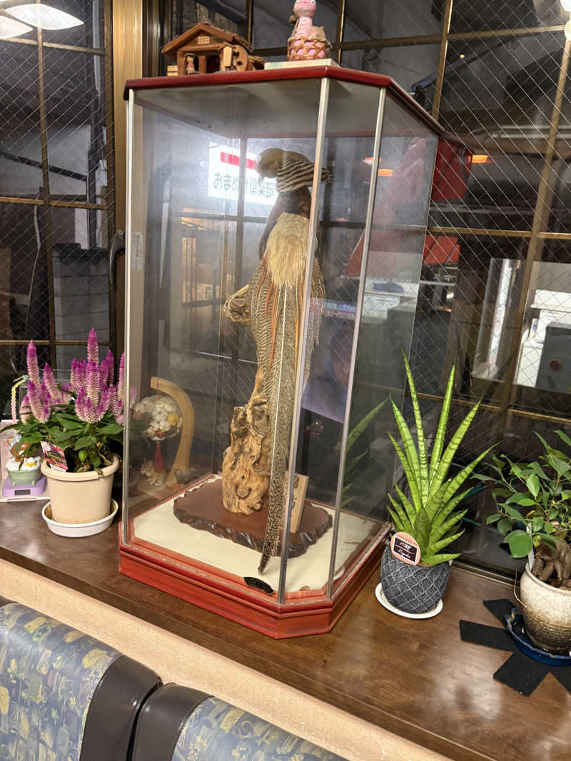 愛子さんの成弘湯のサ活写真