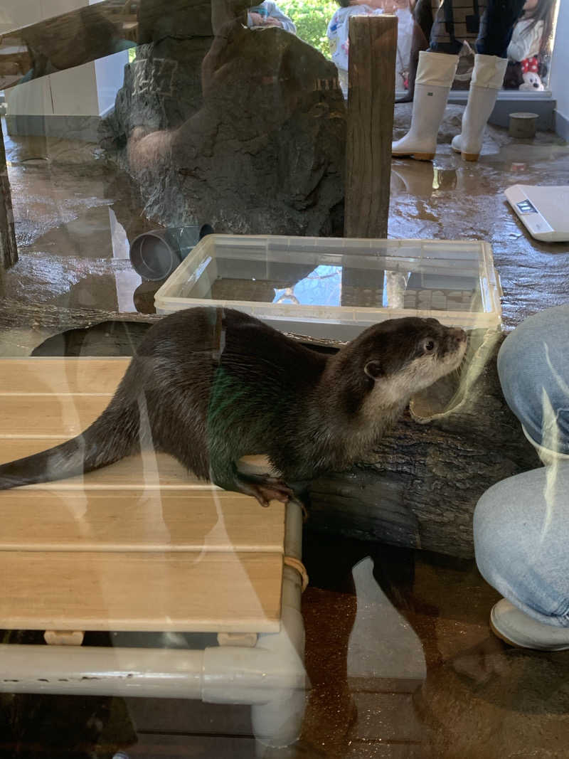 hirobumiさんのよみうりランド眺望温泉 花景の湯のサ活写真