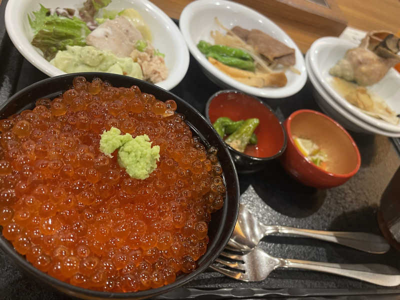 だあ🦪さんの狸の湯 ドーミーイン札幌ANNEXのサ活写真