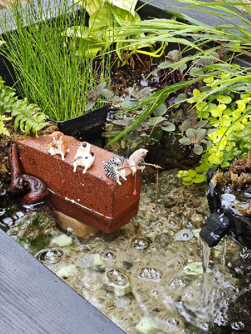 あたるさんの天然温泉 和楽の湯 下関せいりゅうのサ活写真