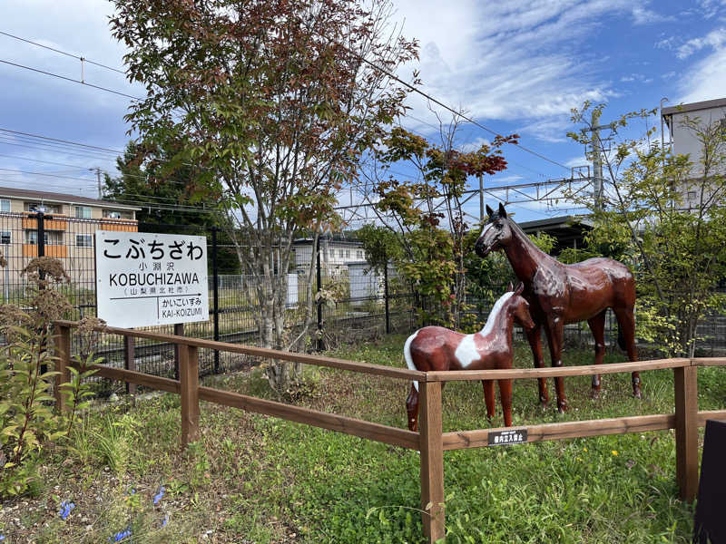 Zさんさんのグランドメルキュール八ヶ岳のサ活写真