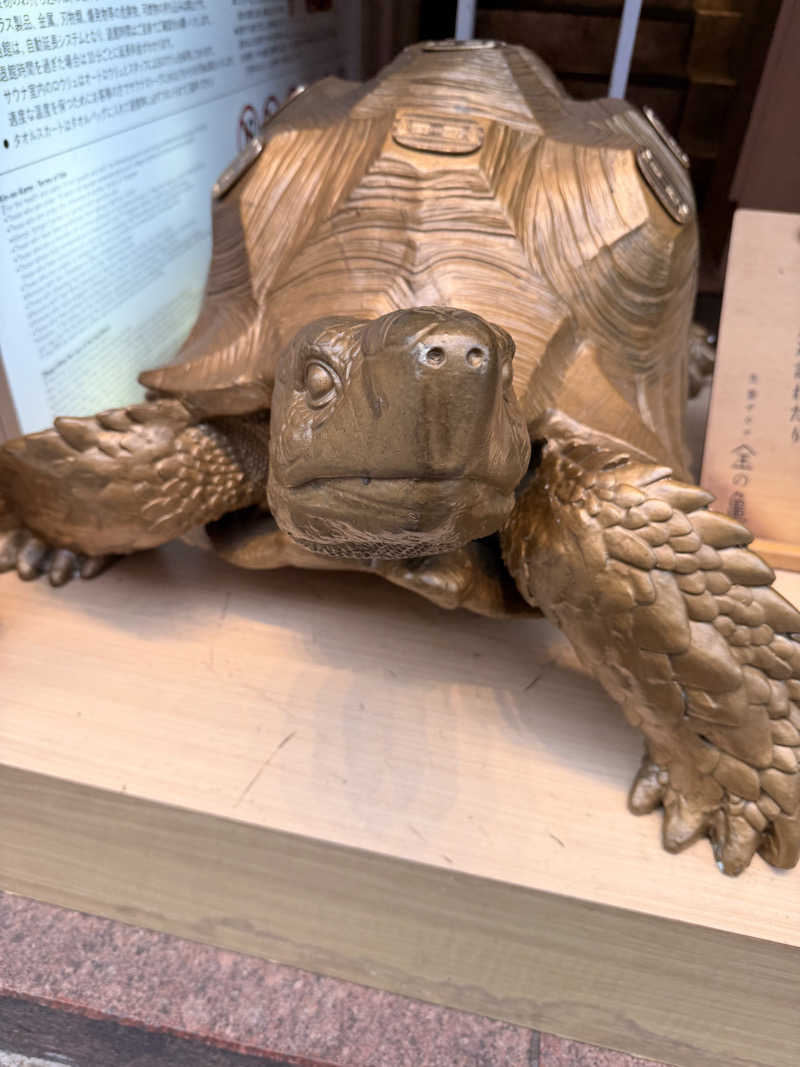 さのりさんの生姜サウナ 金の亀のサ活写真