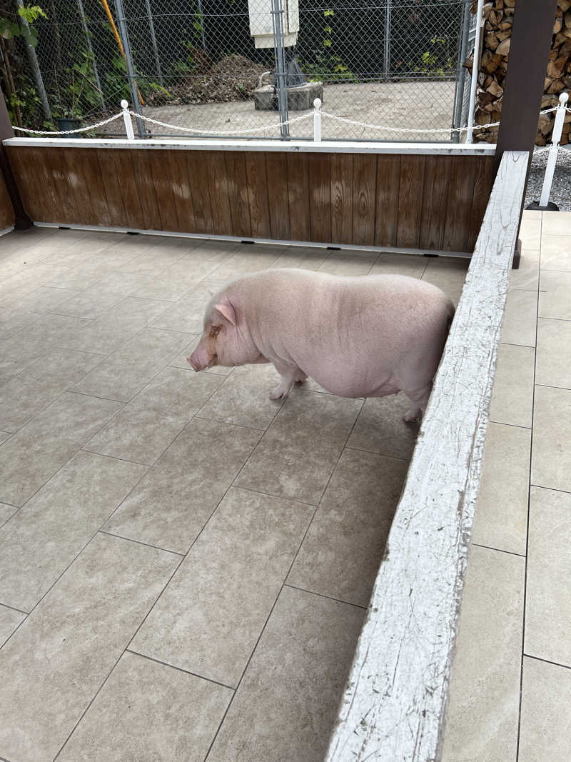 ぽよまめ🫘さんのまるた屋温泉 西方の湯のサ活写真