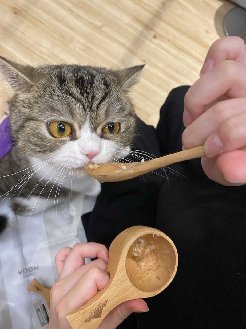 あっきーなさんの竜泉寺の湯 草加谷塚店のサ活写真