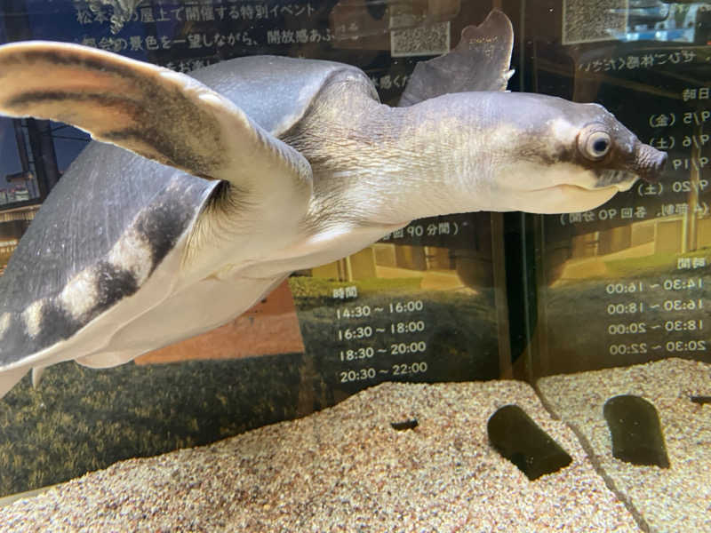 あっきーなさんの松本湯のサ活写真