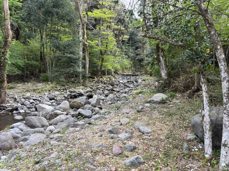 Nobさんのモダン湯治 おんりーゆーのサ活写真