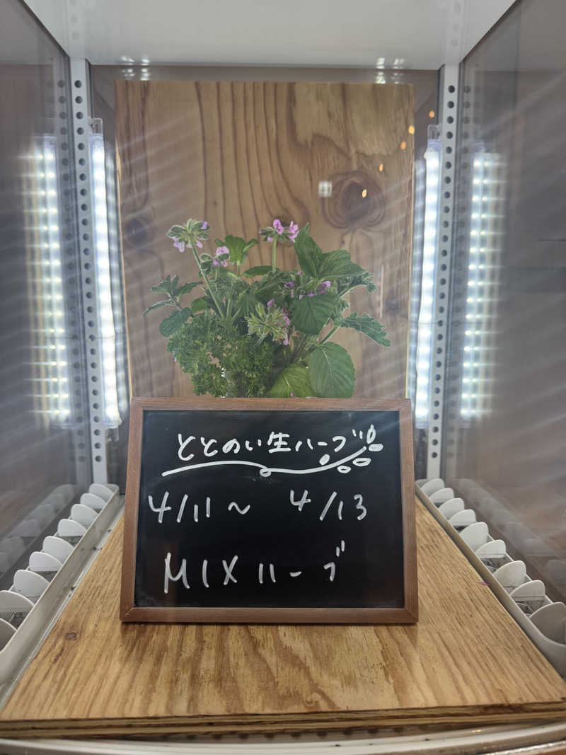 yocoさんの岐阜各務原 恵みの湯のサ活写真