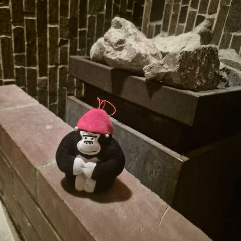 昭和歌謡🧖‍♀️♨️さんのローマの泉のサ活写真