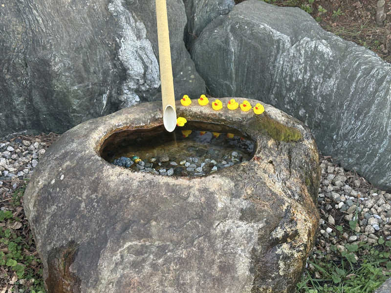 ちむちる⭐︎バン子さんの小さな旅  川越温泉のサ活写真