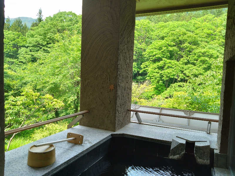 🍹ガラポさん【🈂️旅大好き】さんの別邸 仙寿庵のサ活写真