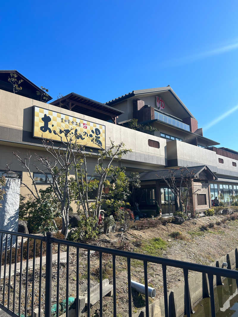 あじさいさいたさんの豊田挙母温泉 おいでんの湯のサ活写真