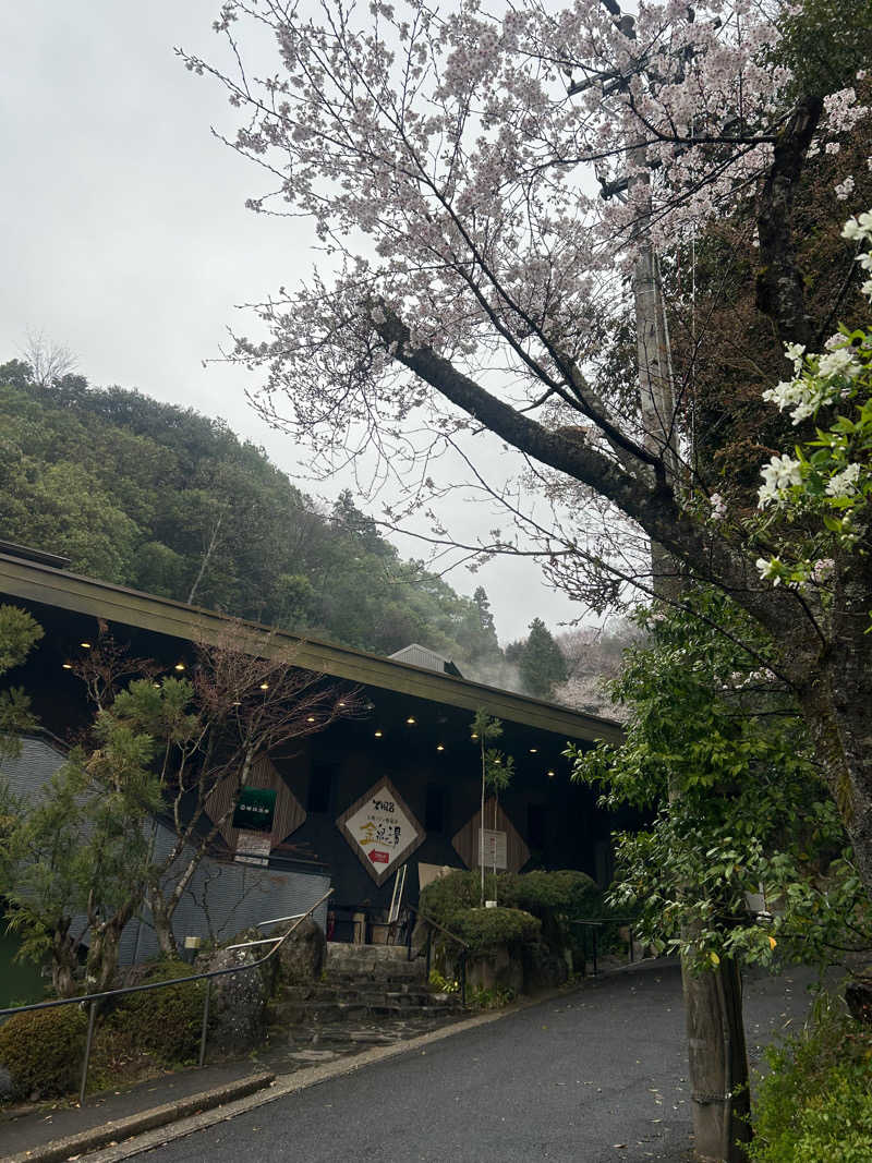 あじさいさいたさんの猿投温泉 金泉の湯のサ活写真