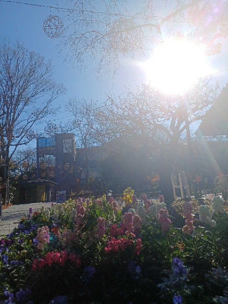 さえさんのよみうりランド眺望温泉 花景の湯のサ活写真