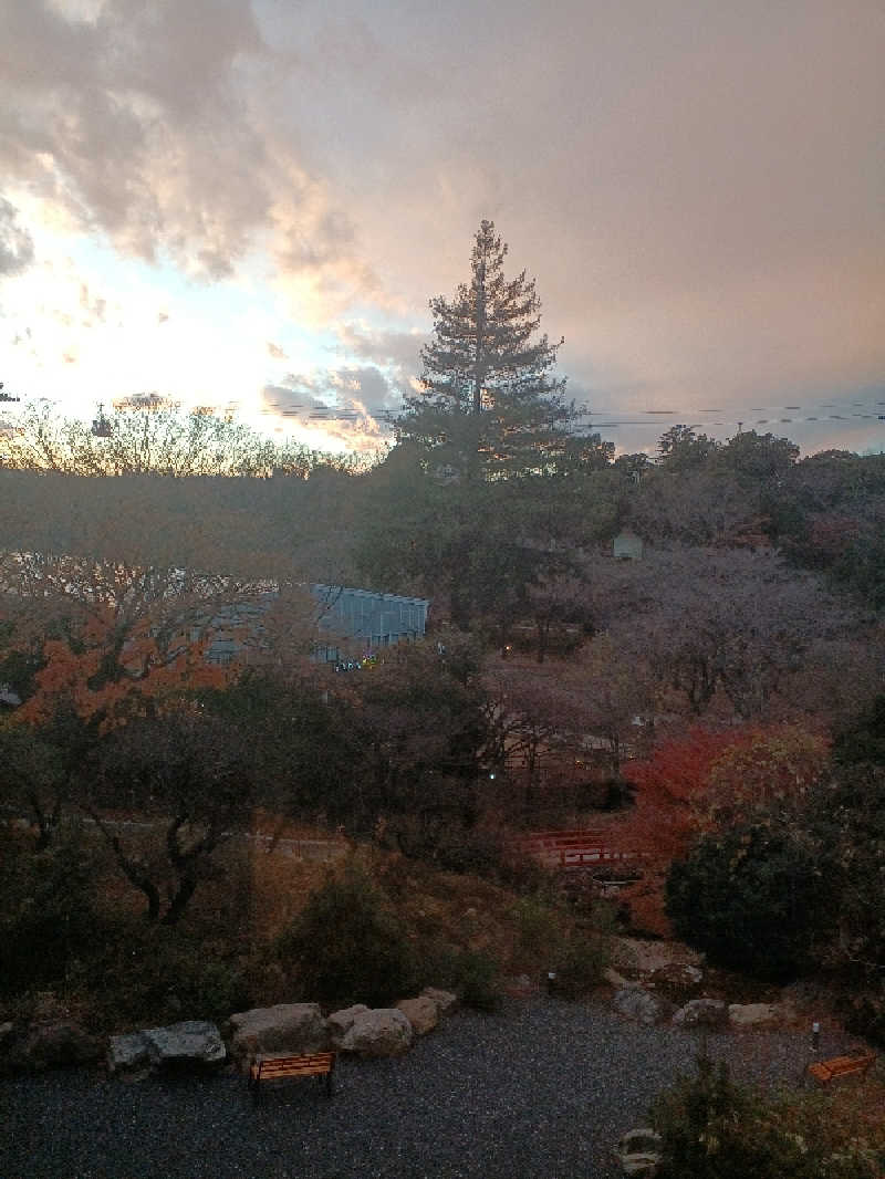 さえさんのよみうりランド眺望温泉 花景の湯のサ活写真