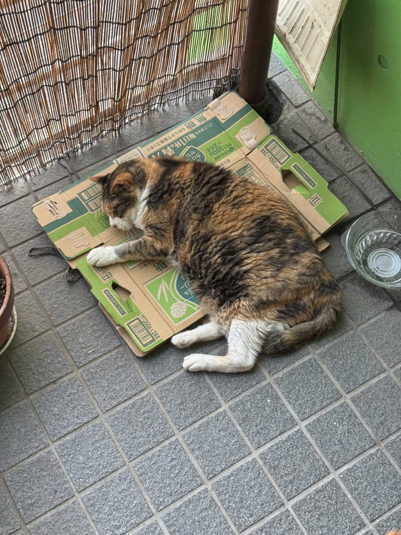 イワイ（サウナバード）さんの湯処じんのびのサ活写真