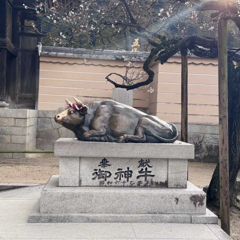 イワイ（サウナバード）さんの健康ランド みかさの湯 (ルートイン グランティア太宰府)のサ活写真