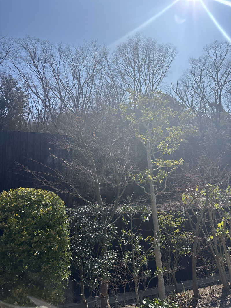 ヒツケトウゾクアラタメハセガワヘイゾーさんの野天スパ 十界の湯 ※旧:延羽の湯 野天 閑雅山荘のサ活写真