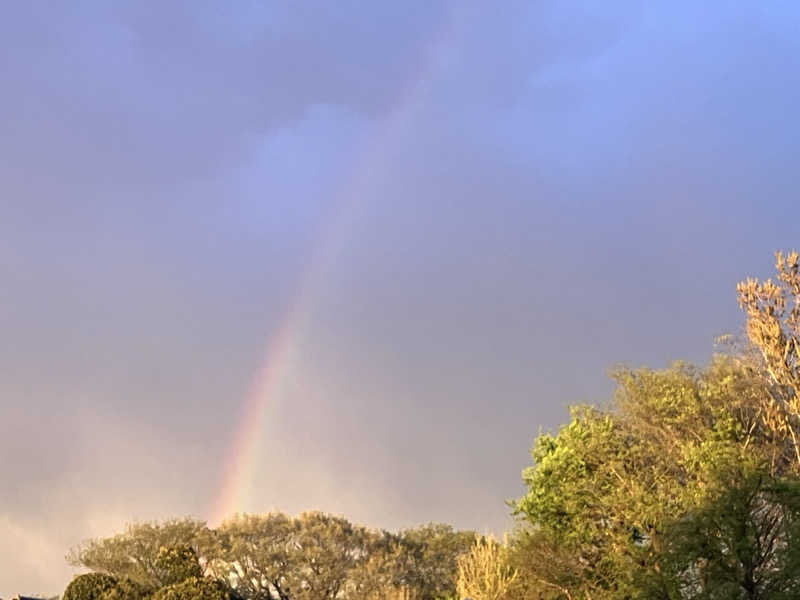 壱さんの楽天地天然温泉 法典の湯のサ活写真