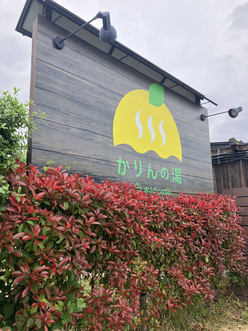 壱さんのおふろcafé かりんの湯のサ活写真