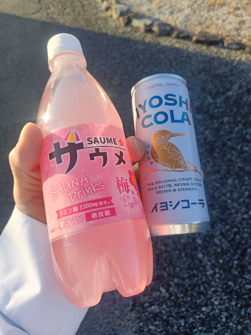 ロードノリタイさんの極楽湯 津店のサ活写真