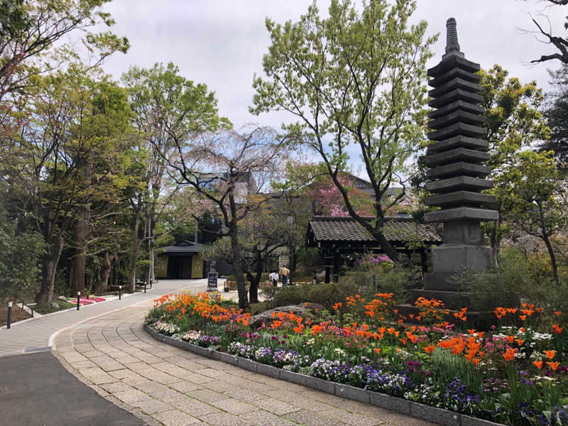 ヤマオさんのよみうりランド眺望温泉 花景の湯のサ活写真