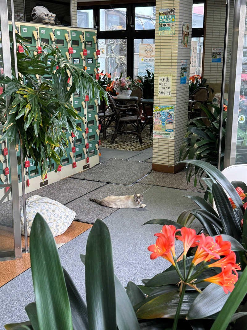 ゆったさんの花園温泉のサ活写真