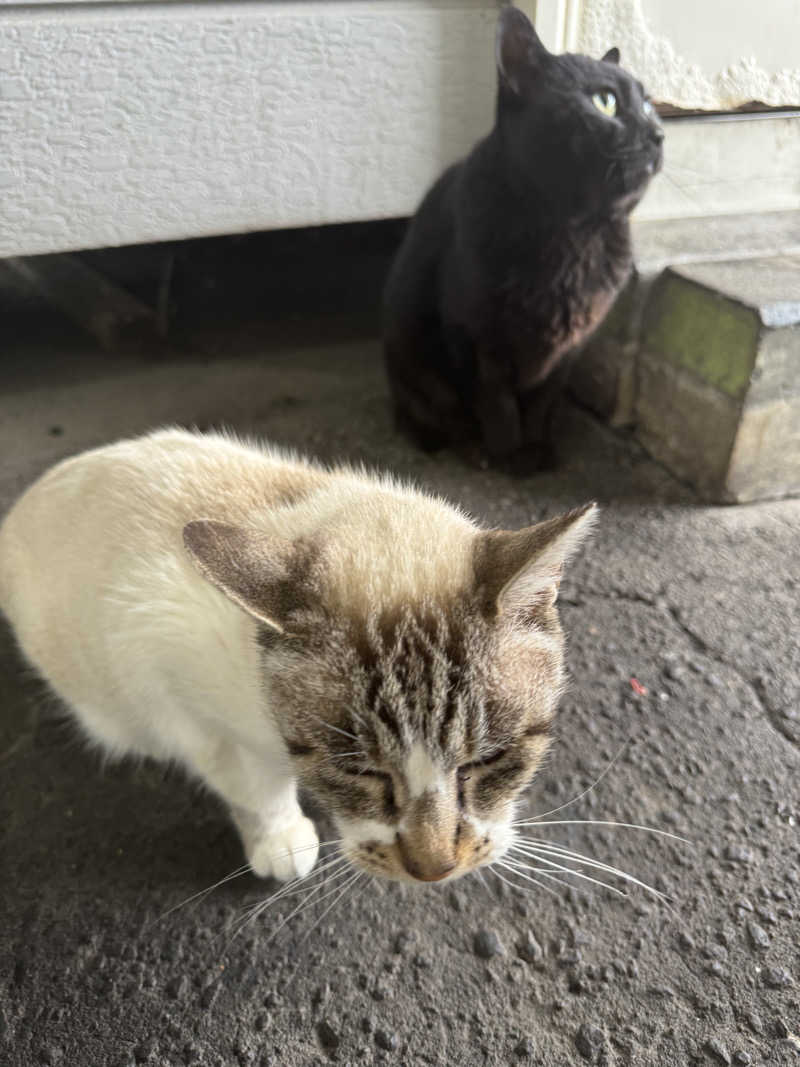 ゆったさんの花園温泉のサ活写真