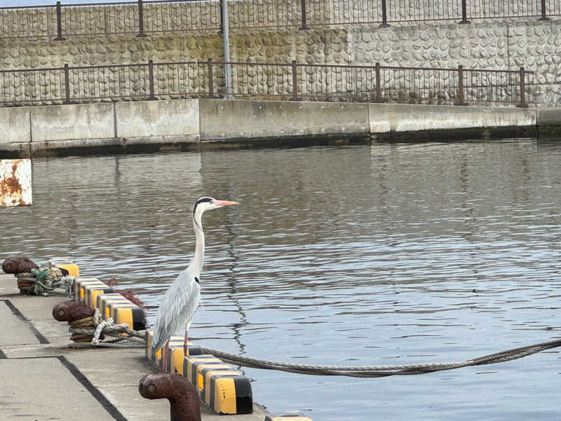 ゆったさんのにしき温泉のサ活写真
