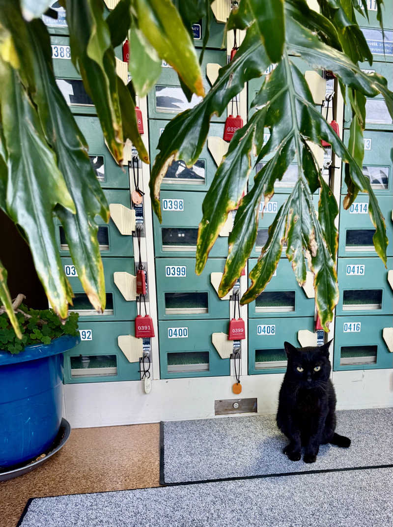 ゆったさんの花園温泉のサ活写真