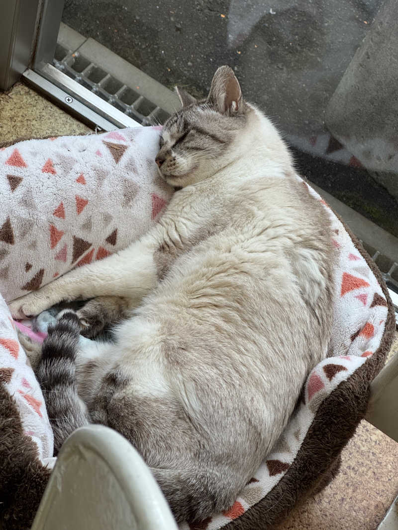 ゆったさんの花園温泉のサ活写真