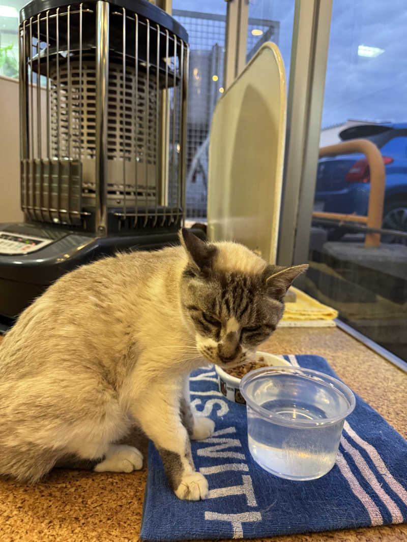 ゆったさんの花園温泉のサ活写真