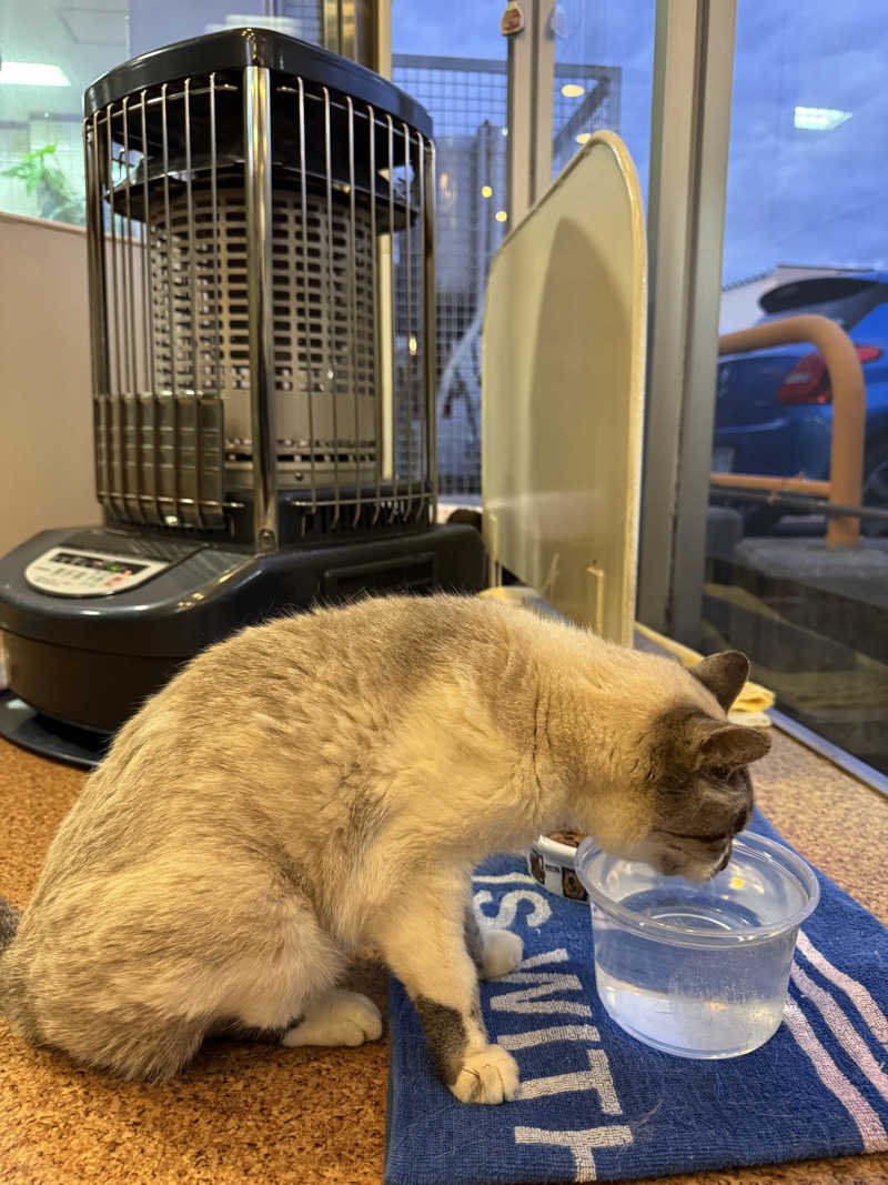 ゆったさんの花園温泉のサ活写真