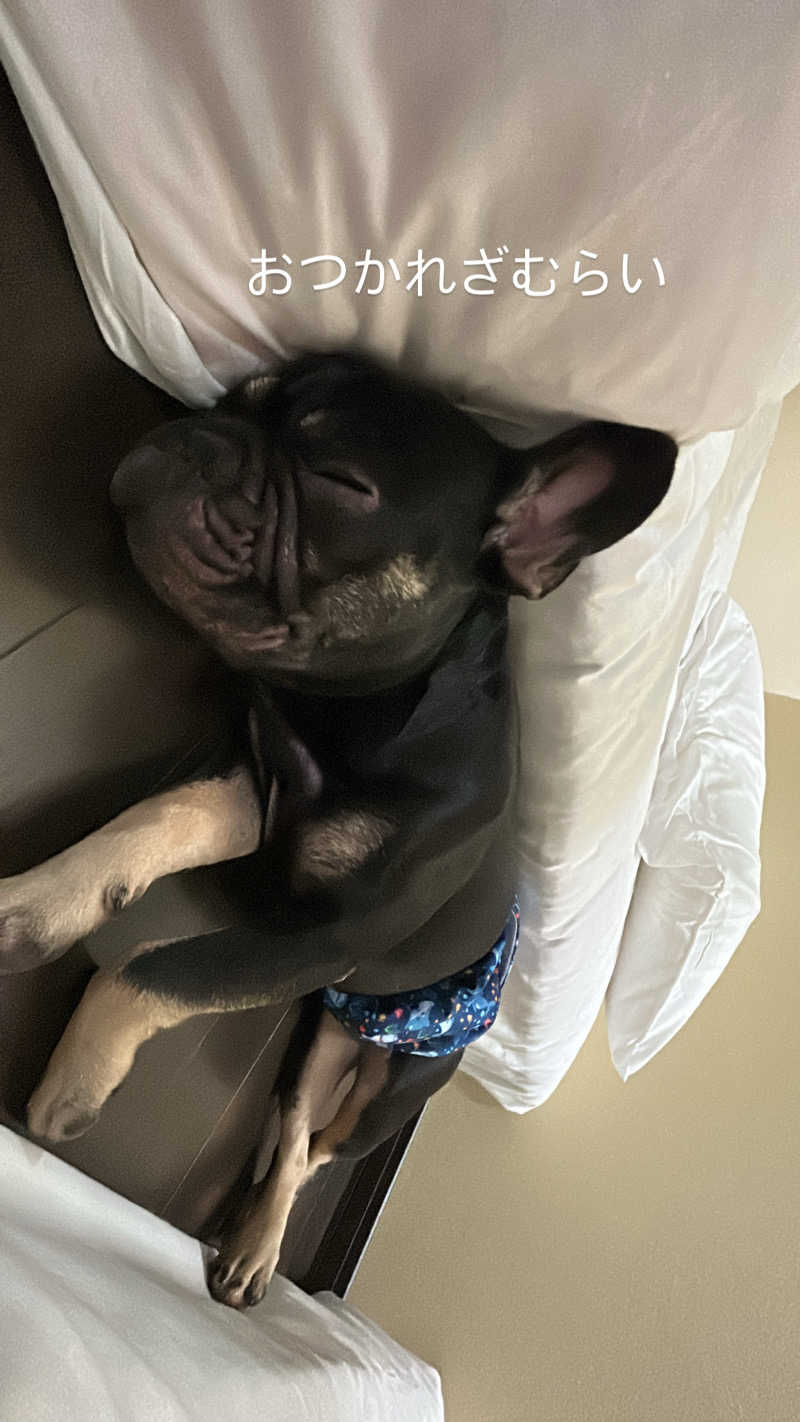 ヤスくんさんの湯の川温泉 ホテル雨宮館のサ活写真