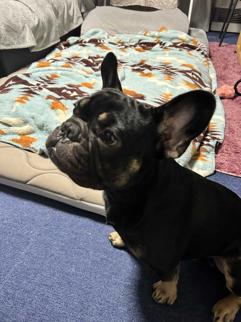 ヤスくんさんの苗穂駅前温泉 蔵ノ湯のサ活写真