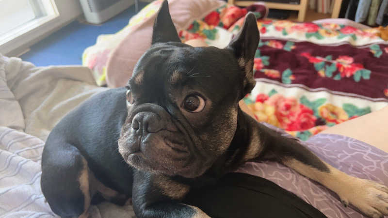 ヤスくんさんの末広湯のサ活写真