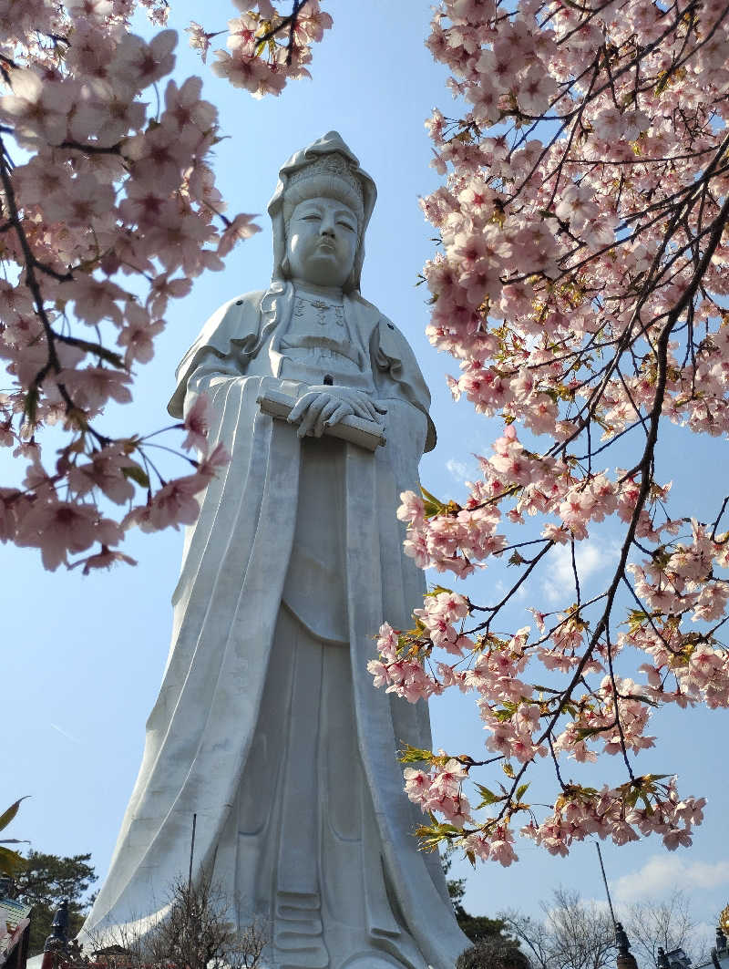お！メコン川！さんの観音山サウナ蒸寺のサ活写真