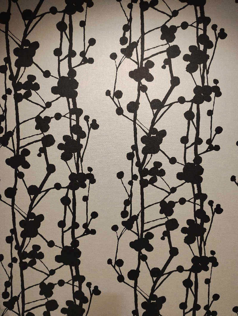 お！メコン川！さんのアパホテル〈淀屋橋〉のサ活写真