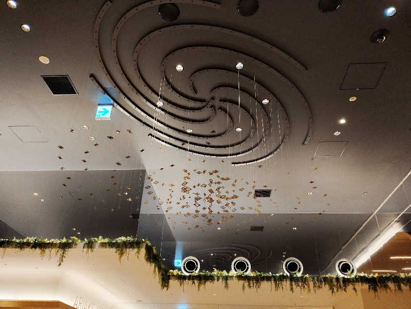 お！メコン川！さんの天然温泉 泉天空の湯 有明ガーデンのサ活写真