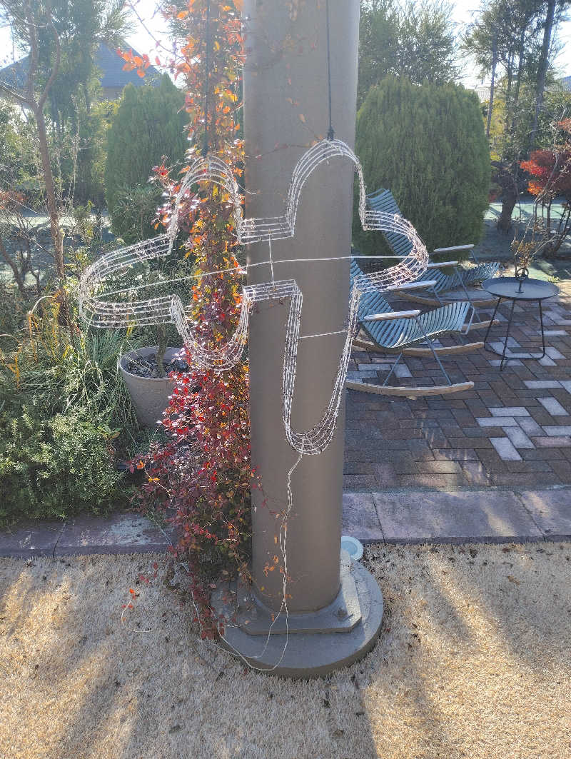 お！メコン川！さんのSPA&ごはん ゆるうむ yuluumuのサ活写真