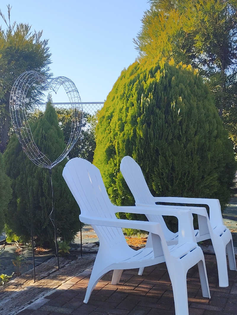 お！メコン川！さんのSPA&ごはん ゆるうむ yuluumuのサ活写真