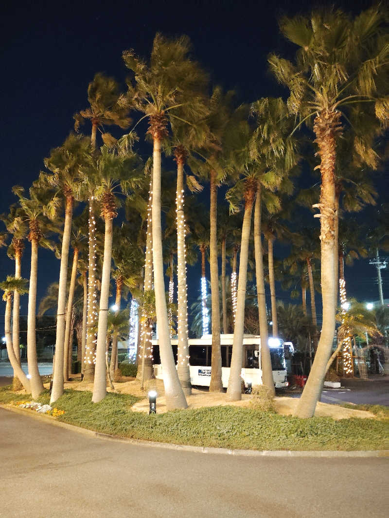 お！メコン川！さんのスパ&ホテル 舞浜ユーラシアのサ活写真