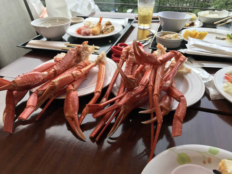 O→たけさんのホテルサンバレー那須 湯遊天国・森の湯・湯処ひのきのサ活写真