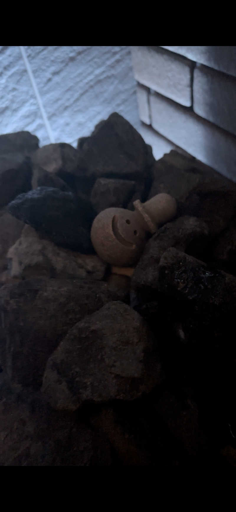 サウチナー🧖‍♀️🤍さんの個室サウナとと 南船場店のサ活写真