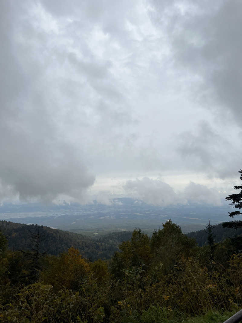 パワーゴリラウホホさんの十勝岳温泉 凌雲閣のサ活写真