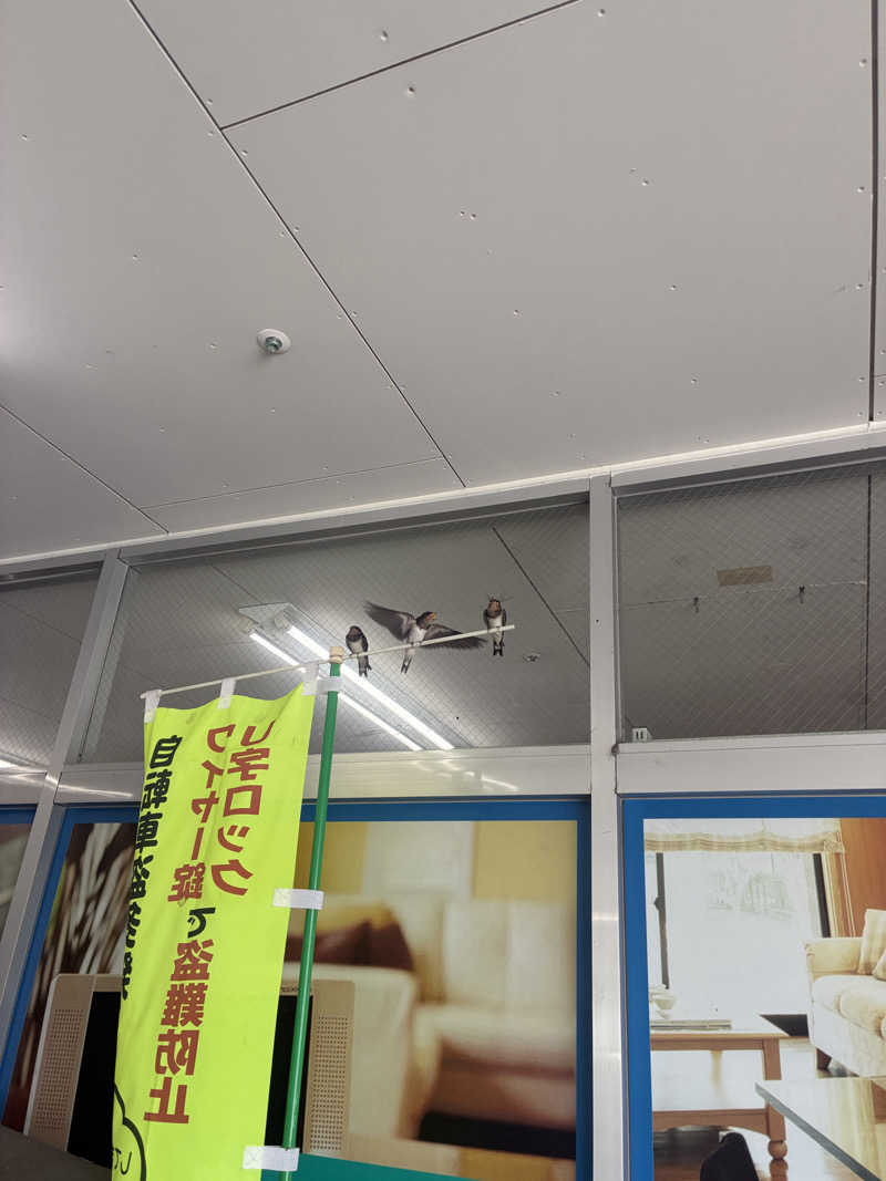 みー助さんのヒナタの杜 小戸の湯どころのサ活写真