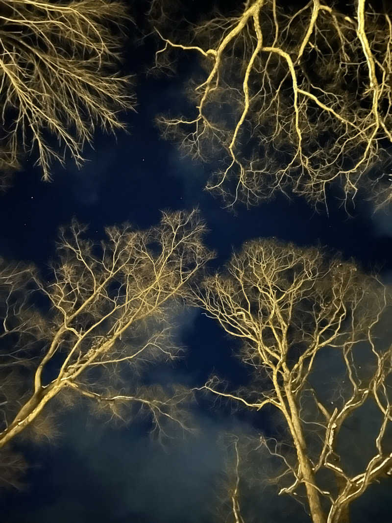 サウナって良いよね^ ^さんのThe Saunaのサ活写真