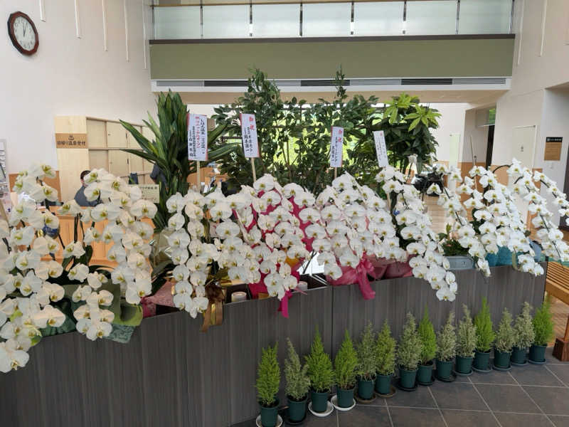 名波冠弥さんのしほろ温泉プラザ緑風のサ活写真