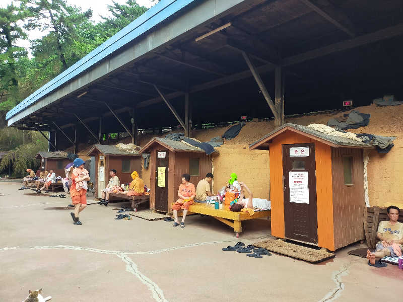 蒸旅人さんの鶏龍ウェルネスクラブ チムジルバン&サウナのサ活写真