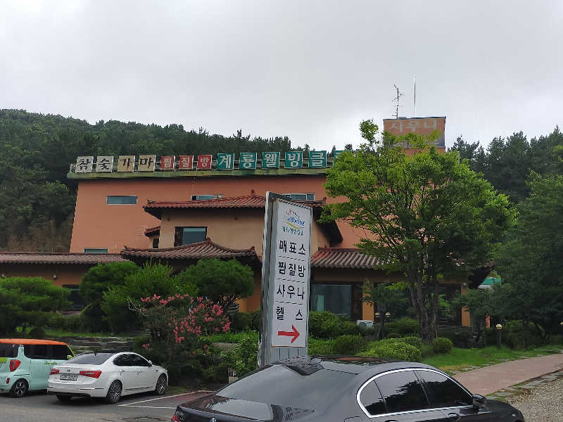 蒸旅人さんの鶏龍ウェルネスクラブ チムジルバン&サウナのサ活写真