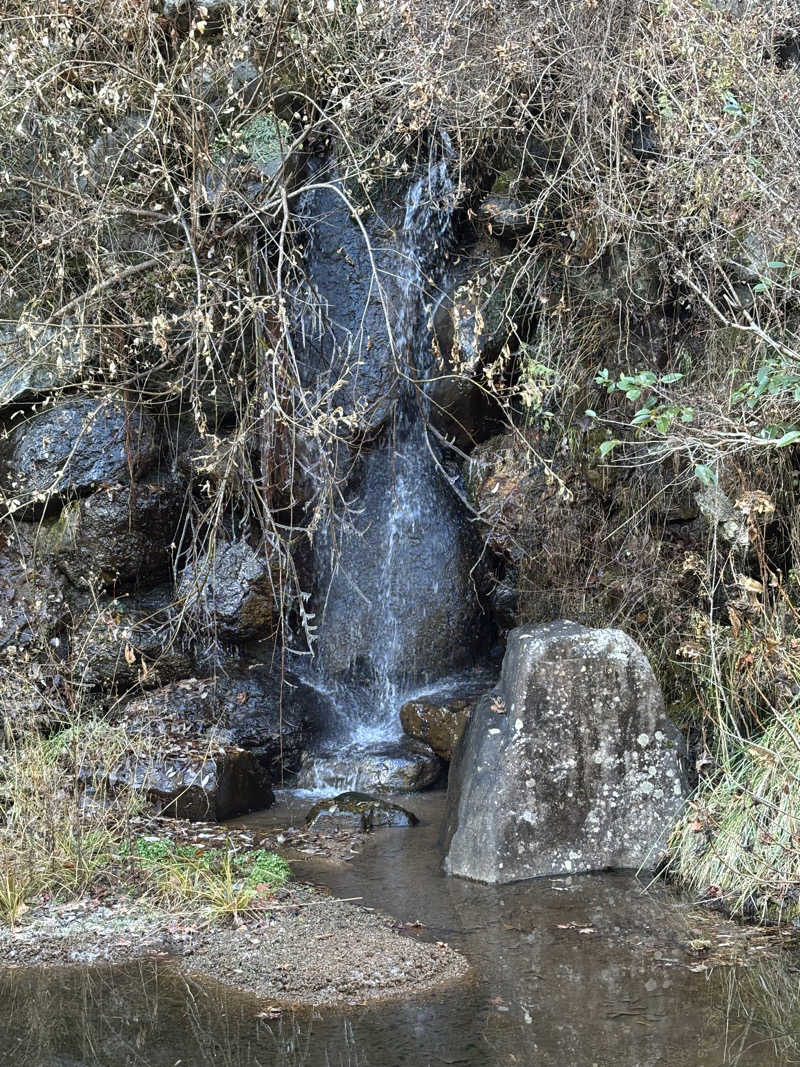 ささうな重🐴さんの道志川温泉紅椿の湯のサ活写真